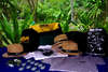 Ban Raya Resort & Spa 